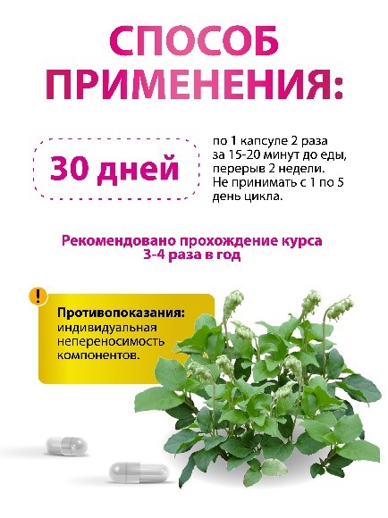 Боровая матка