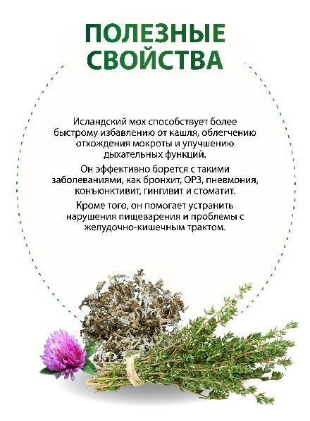 Исландский мох