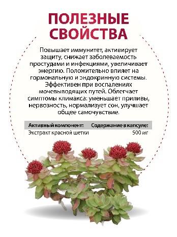 Красная щетка