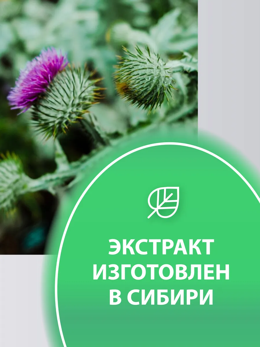 Экстракт корней майского лопуха