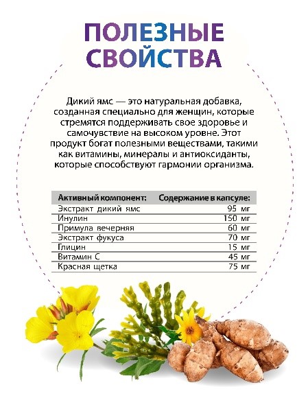 Дикий ямс