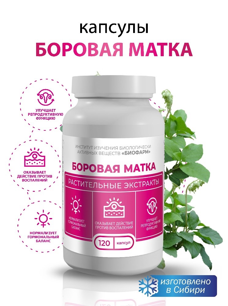 Боровая матка