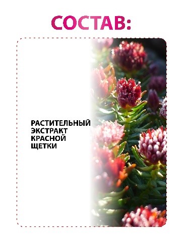 Красная щетка