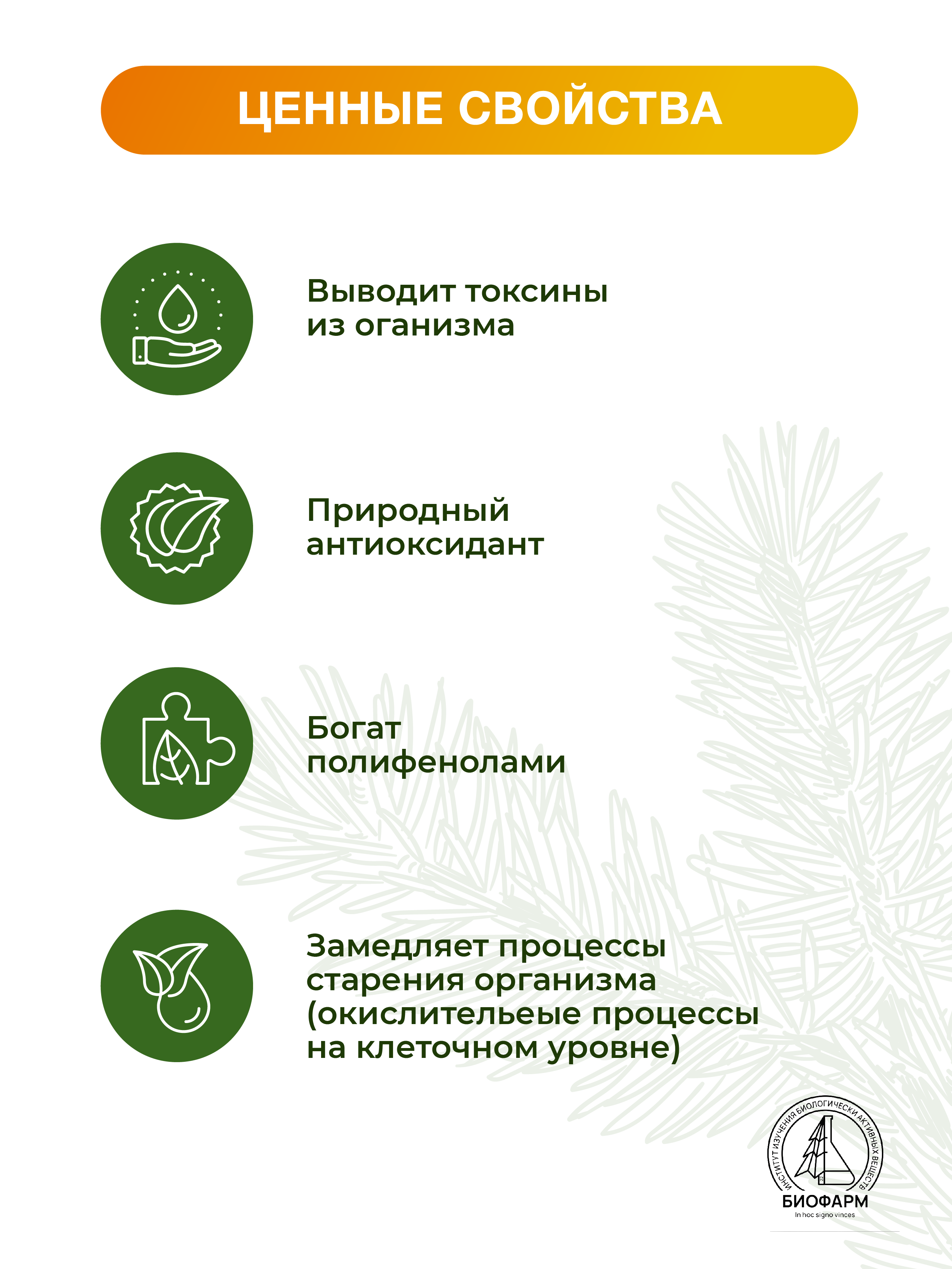 Комплекс природных АНТИОКСИДАНТОВ с полифенолами
