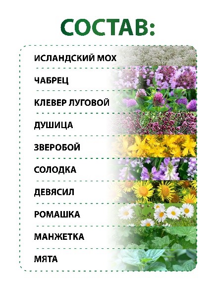Исландский мох