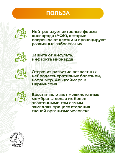 Комплекс природных АНТИОКСИДАНТОВ с полифенолами