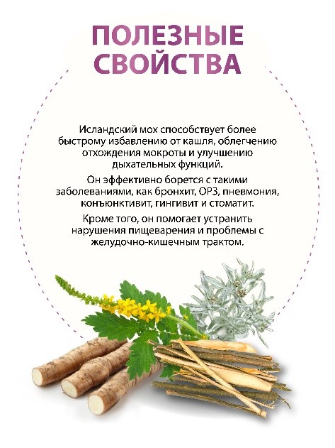 Поджелудочные